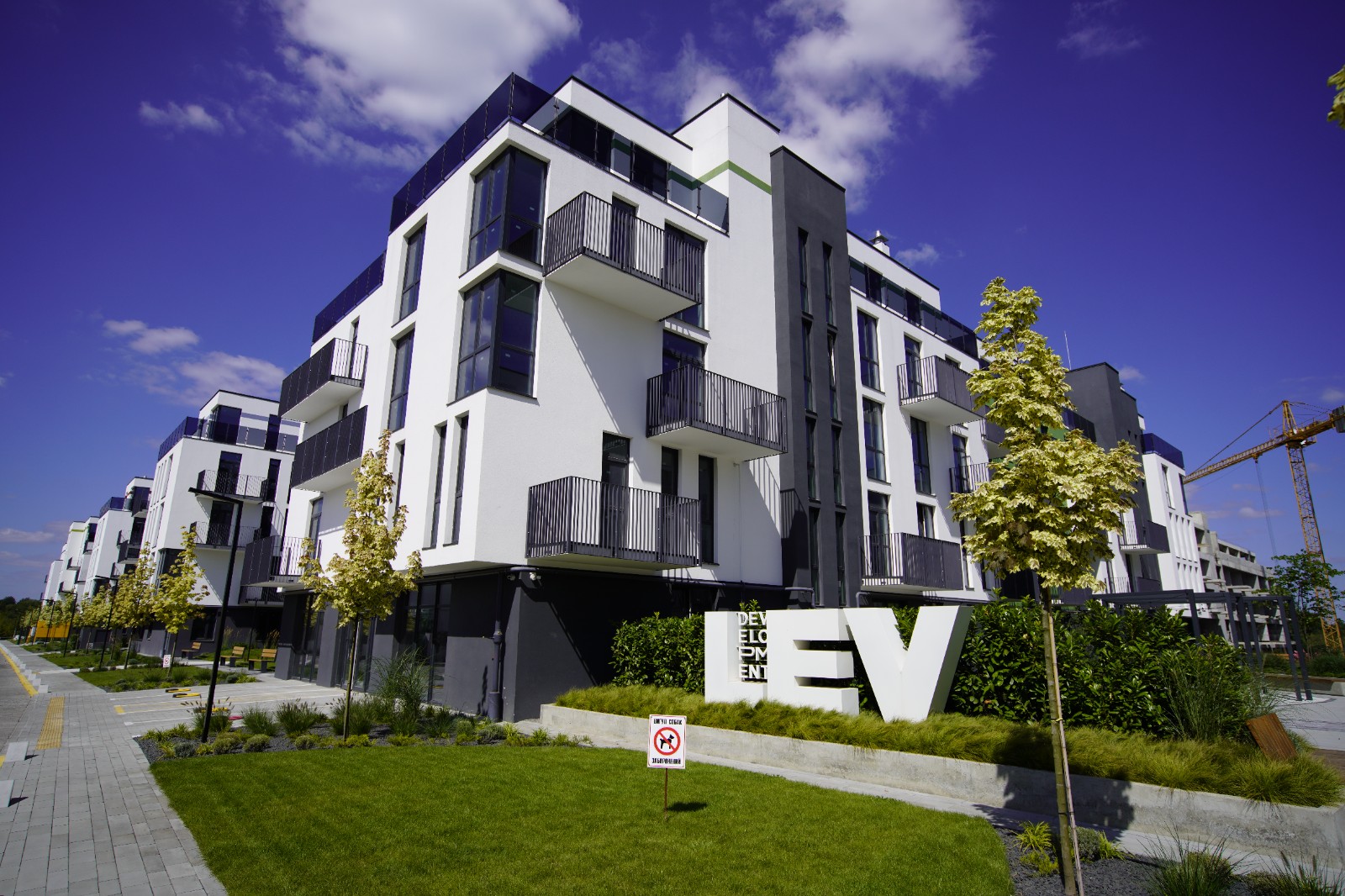 LEV Development x Volodymyr Tsisaryk: Мить у потоці 3