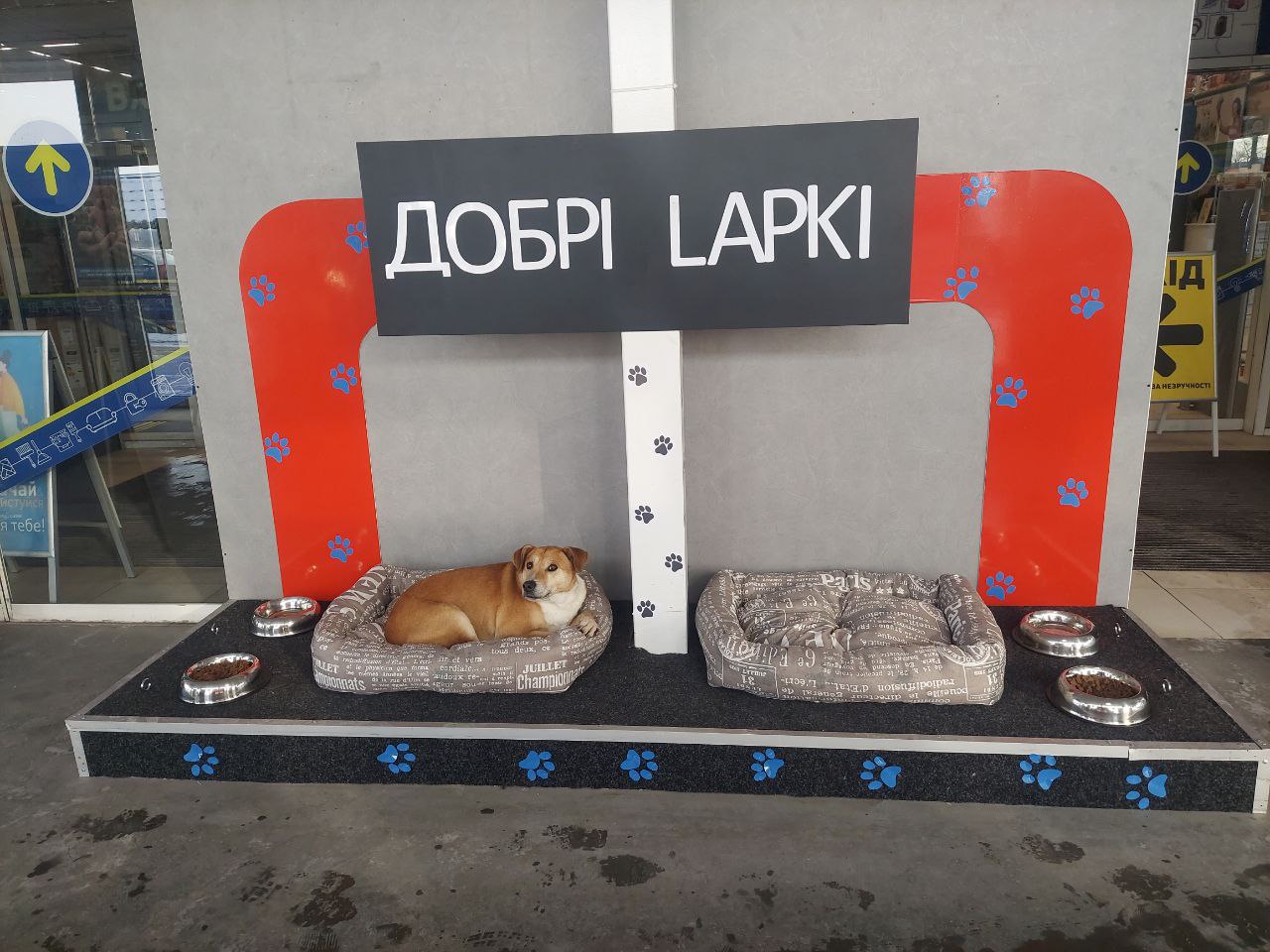 Добрі Lapki 4