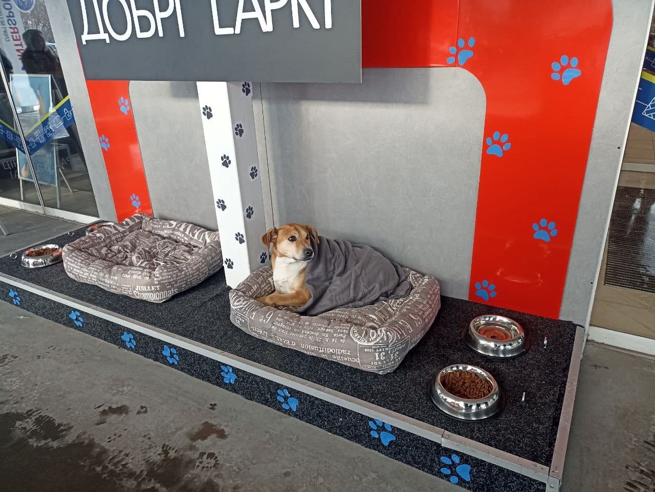 Добрі Lapki 2